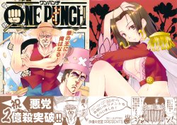 (C80) [Ojou no Yokushitsu (AYA, Tetsujin)] ONE PUNCH (One Piece)