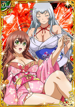 Ikkitousen Cards Coleccyion  Chou-un Shiryuu set