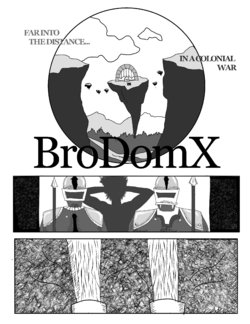 BroDomX - The Provisions of a Bro