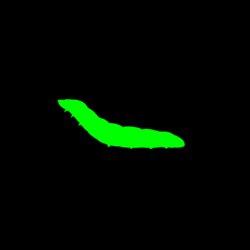 [Tonchisuke] Dickloving Caterpillar