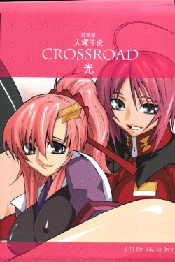 (C68) [Kouchaya (Ootsuka Kotora)] crossroad Hikari (Gundam SEED DESTINY)