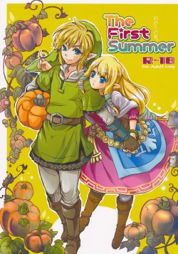 (HaruCC18) [Usagi Paradise (Misa)] Hajimete no Natsu. ~The First Summer~ (The Legend of Zelda: Skyward Sword) [English]