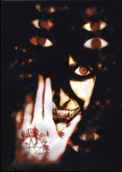 Hellsing Collection (Scans)