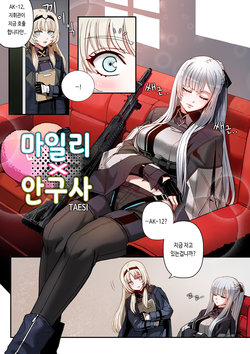 [Taesi] AK-12 x AN-94 (Girls' Frontline) [Korean]