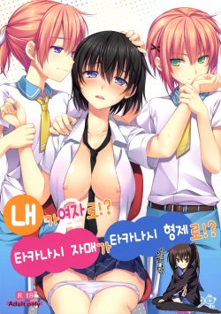 (C86) [Alpha to Yukaina Nakamatachi (Alpha)] Ore ga Onna ni!? Itoko ga Itoko ni!? [Korean] [완벽한 사람]