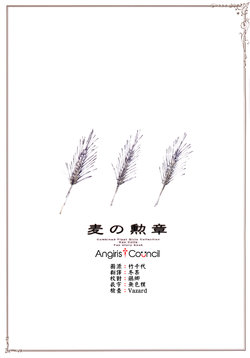 (Houraigekisen! Yo-i! 38Senme) [Ikkanya (Hajime)] Mugi no Kunshou (Kantai Collection -KanColle-) [Chinese] [Angiris Council漢化组]