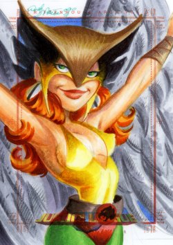 A Comprehensive Hawkgirl Collection
