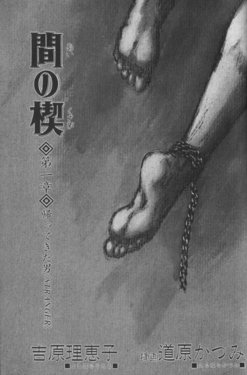 Ai no Kusabi [Novel Illustrations] [Katsumi Michihara]