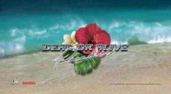 Dead or Alive Paradise 2010 calendar