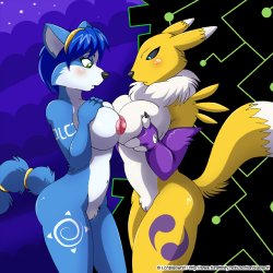 Krystal  Renamon  Crossover