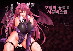 [Blue Blossom (Suzuki Sakura)] Bouken no Nakama ni Succubus o | 모험의 동료로 서큐버스를 [Korean] [Digital]