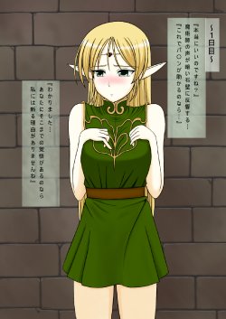 [Uosao] Record of Lodoss War ~Heroine Insult Collection IV~ Cum on the blonde elf (Record of Lodoss War)
