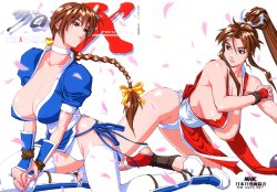 (C58) [Nippon H Manga Kyoukai (Various)] Project X (Dead or Alive, King of Fighters)