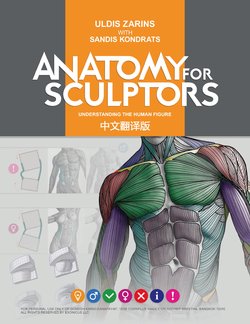 Anatomy for Sculptors - Uldis Zarins & Sandis Kondrats [Chinese version]