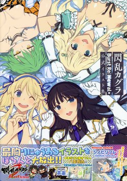 Senran Kagura Burst Re:Newal Koushiki Illust Shuu