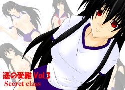 [Fake gate] Haruka no Junan Vol. 3 Secret class