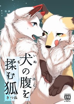 (Kansai! Kemoket 4) [D-Point! (Diga Tsukune)] Inu no Hara o Momu Kitsune