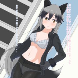 [kosakai] Okurairi ni Natta CG Shuu (Kemono Friends)