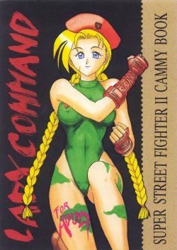 [Tenshikan (Fuuga Utsura)] LADY COMMAND (Street Fighter II)