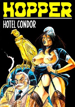 Hotel Condor (Dutch)