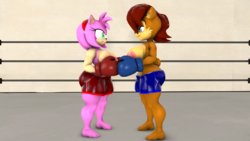 [BlueApple] Foxy Boxing Battle 1-2 (Sonic The Hedgehog)