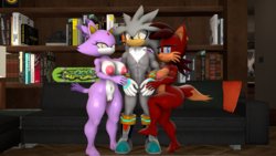 [BlueApple] When A Cat, Fox, and Hedgehog Meets (Sonic the Hedgehog)