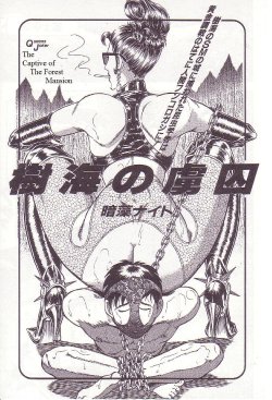 [Anmo Night] Jukai no Ryoshuu | The Captive of The Forest Mansion (Comic Maso 2) [English] [Steevejo]