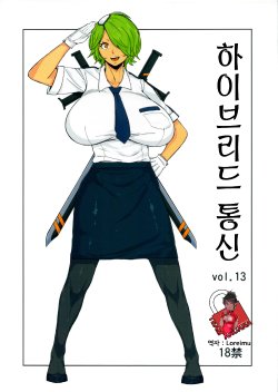 (C83) [Hybrid Jimushitsu (Muronaga Char siu)] Hybrid Tsuushin vol.13 (Shinmai Fukei Kiruko-san) (korean)