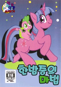 (Kemoket 2) [Kyou no Keiro (Pukkun)] Mayonaka no Mahou | 한밤중의 마법 (My Little Pony: Friendship Is Magic) [Korean] [TeamHumanTrash]