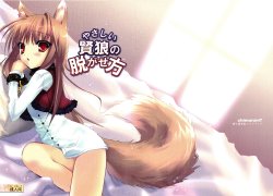 (C75) [Chimaroni? (Chimaro)] Yasashii Kenrou no Nugasekata (Spice and Wolf)