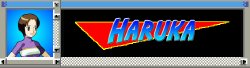 Haruka (Megaman Battle Network)