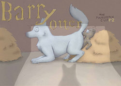 Barry Otter, TPC2 (Harry Potter)
