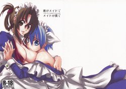 (C74) [IJI (Minagi Ruiji)] Kimi ga Maid de Maid ga Boku de (Hayate no Gotoku!)