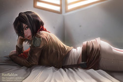 [Hoobamon] Mikasa Ackerman