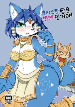 (Kansai! Kemoket 7) [ZUNDAMORI (Moriguru)] Krystal-chan wa Ecchi Nano! | 크리스탈 짱은 변태인거야! (Star Fox) [Korean]