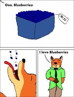 Nick's Blueberries (Zootopia)
