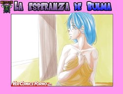 [Aarokira] La Esperanza De Bulma 1 (Spanish) [kalock & VCP]