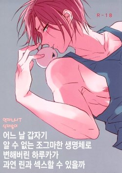 (SUPER24) [321 (Mitsui)] Can Haruka Have Sex with Rin After Suddenly Turning Into an Odd Little Lifeform? | 어느 날 갑자기 알 수 없는 조그마한 생명체로 변해버린 하루카가 과연 린과 섹스할 수 있을까 (Free!) [Korean] [니나ㅜ]