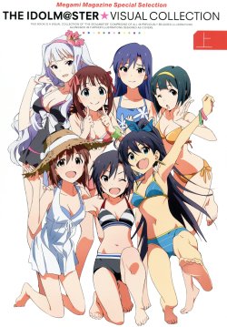 THE iDOLM@STER Visual Collection Vol 1