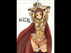 [Mushiringo (Tokihara Masato)] War Guild's Rests #3 (Ragnarok Online) (korean)