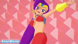 [AnonBluna] Shantae