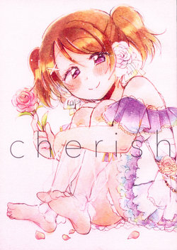 (Bokura no Love Live! 16) [chou*chou (Chigaya, Mosura Tarou)] cherish (Love Live!) [English] [WindyFall Scanlations]