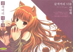 (SC38) [Dream Halls! (Minase Syu, Tsuzuri)] Amairo no Kimi o Aisu | 갈색머리 너를 사랑해 (Spice and Wolf) [Korean]