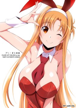 [Kossorikakuredokoro (Island)] Bunny Matome Hon (Sword Art Online)