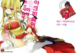 (C82) [Mikan to Uri (Namanie)] Archbishop ga Dere Hajimeta Ken ni Tsuite (Ragnarok Online) [Korean] [Team Arcana]