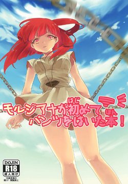 (Meikyuu Tanbou) [Primavista (Hashimoto)] Morgiana ga Hajimete Pantsu o Haita Hon! (Magi)