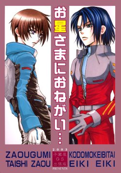 [Kozouya (Eiki Eiki, Zaou Taishi)] Ohoshisama ni Onegai... (Gundam SEED)