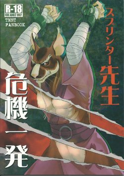 (Fur-st 8) [INK (Kreuz, Kandagawa Gufu)] Splinter-sensei Kiki-ippatsu (Teenage Mutant Ninja Turtles)