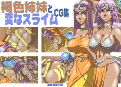 [Umigarasu Madoushi Dan] Kasshoku Shimai to Henna Slime CG Collection (Dragon Quest IV)