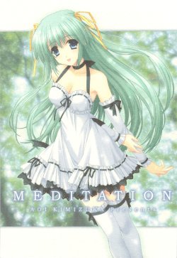 (COMIC1☆3) [A.O.I PROJECT (Kimizuka Aoi)] MEDITATION